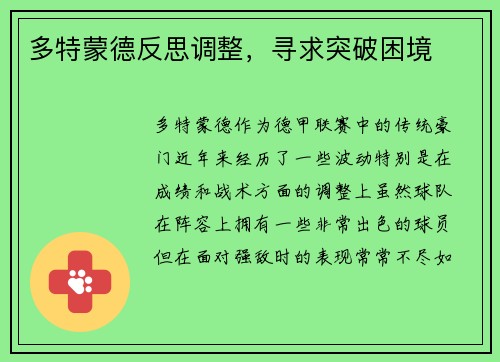 多特蒙德反思调整，寻求突破困境