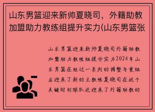 山东男篮迎来新帅夏晓司，外籍助教加盟助力教练组提升实力(山东男篮张晓薇)