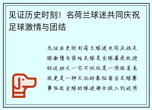 见证历史时刻！名荷兰球迷共同庆祝足球激情与团结